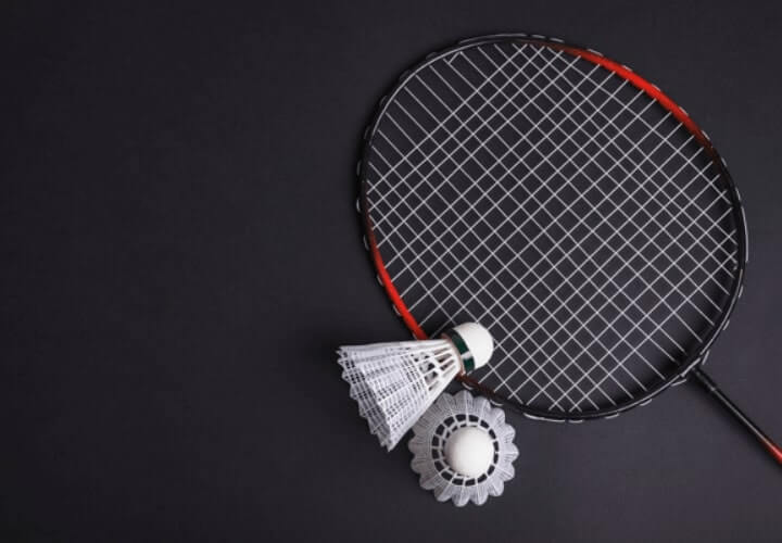 Sejarah Bulu Tangkis di Dunia & Indonesia Beserta Peraturan Badminton - Pengertian Bulu Tangkis