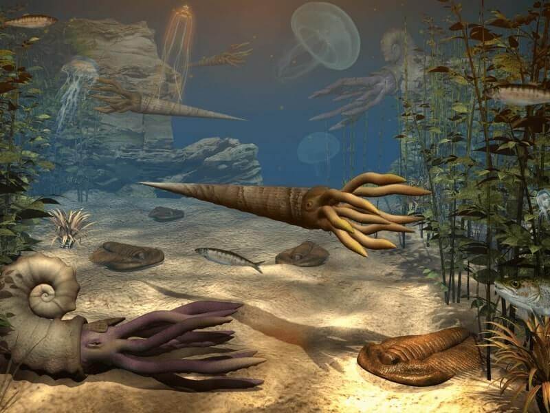 Lengkap Zaman  Paleozoikum  Pengertian Sejarah Ciri 